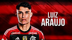Quantos gols Luiz Araújo tem na carreira? Números do novo reforço do Flamengo!