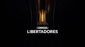 Junior Barranquilla x Botafogo hoje: Onde assistir ao vivo o jogo da Libertadores 2024 - 28/05/2024 