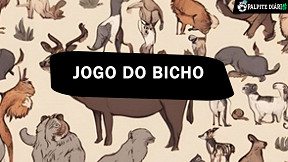 Palpite do jogo do bicho de hoje (14/06)